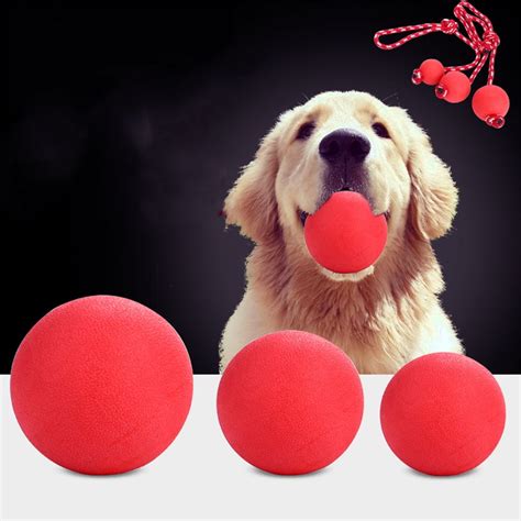 bouncy ball dog|crazy bouncing ball for dogs.